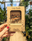 Lily Faith | Décoration de plantes