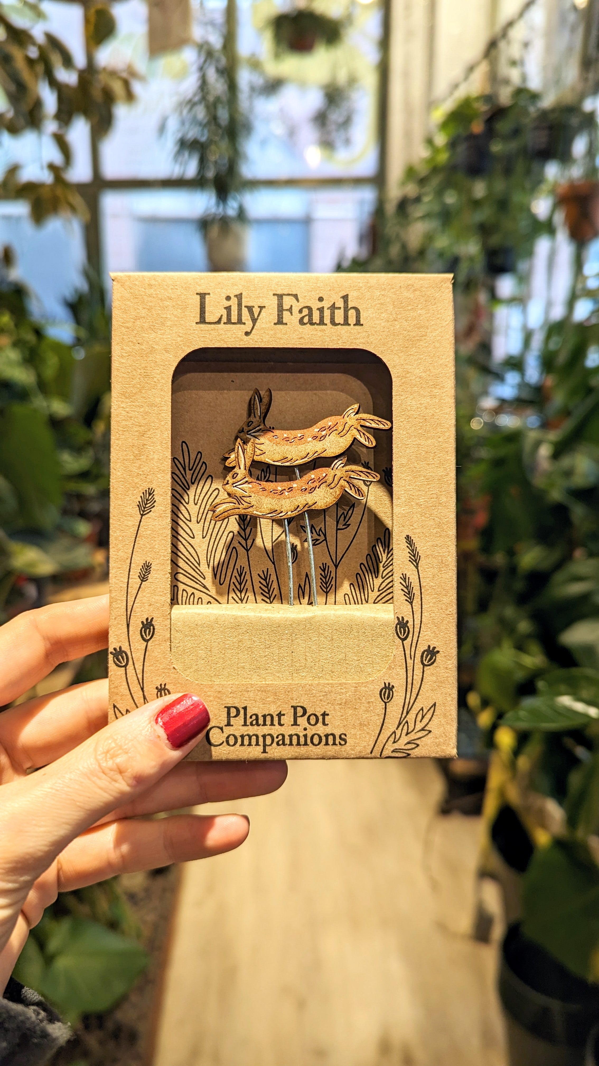 Lilys Glaube | Pflanzendekoration