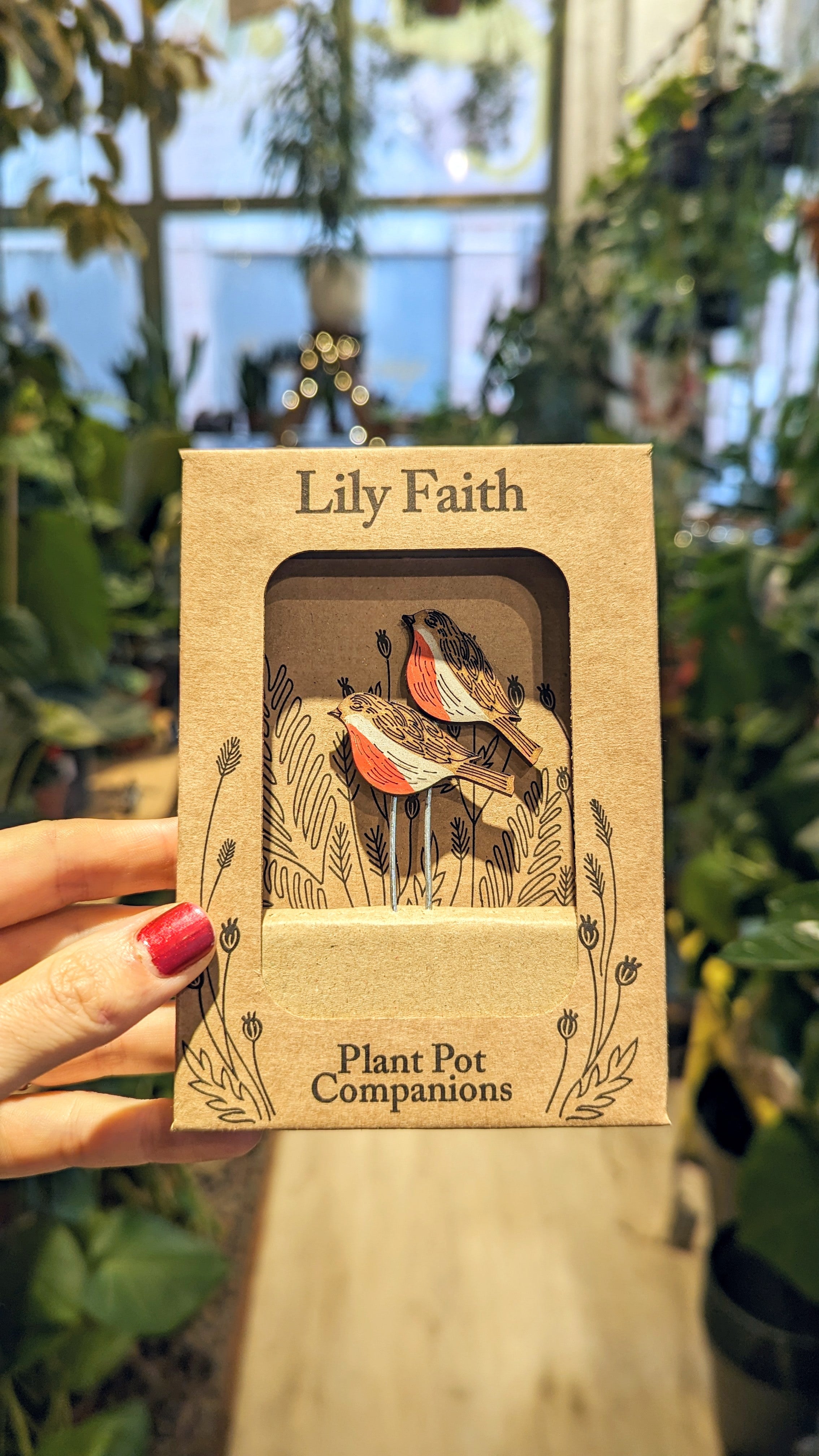 Lilys Glaube | Pflanzendekoration