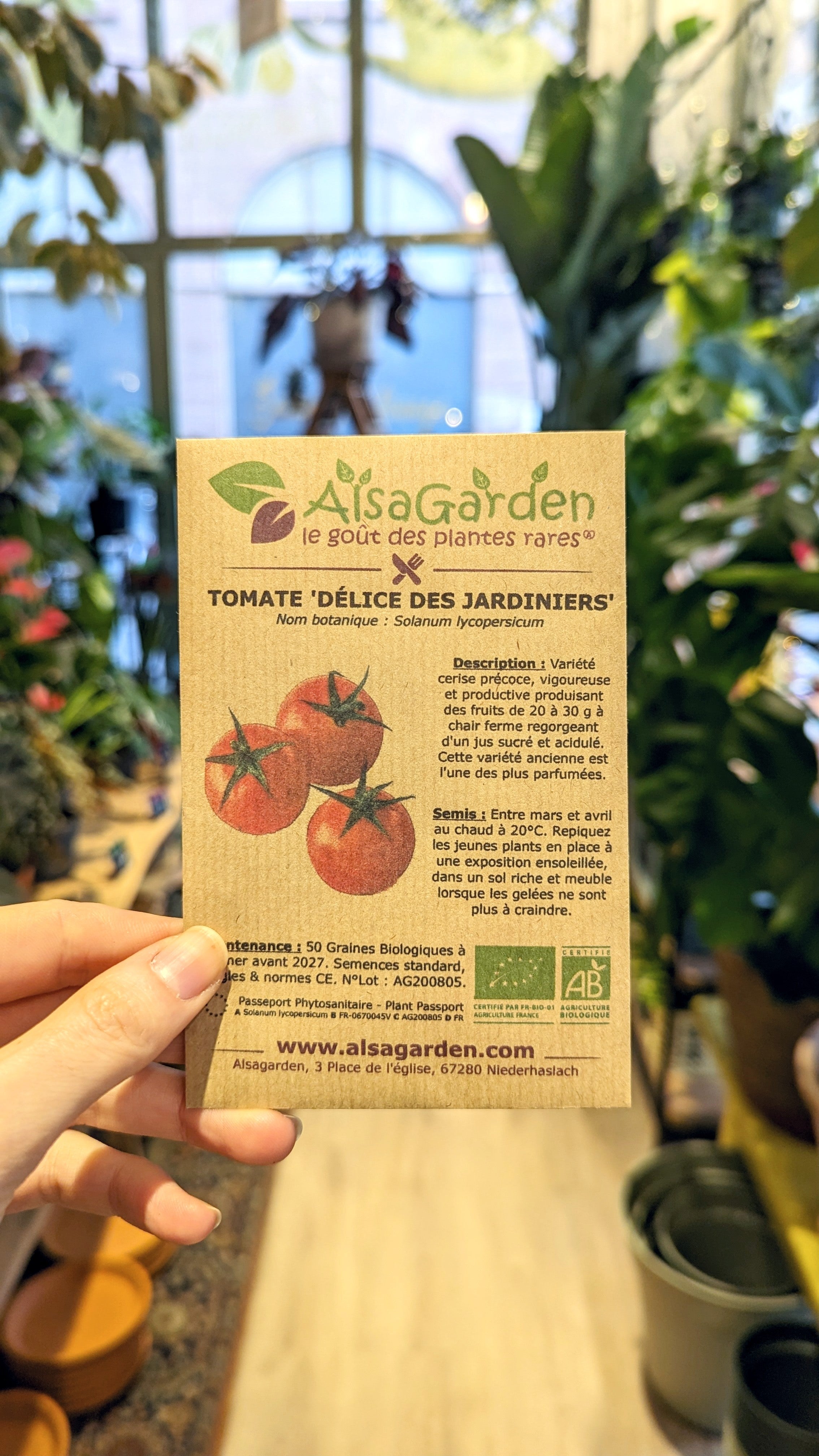 Tomate &#39;délice du jardinier&#39; BIO | Semences Alsagarden