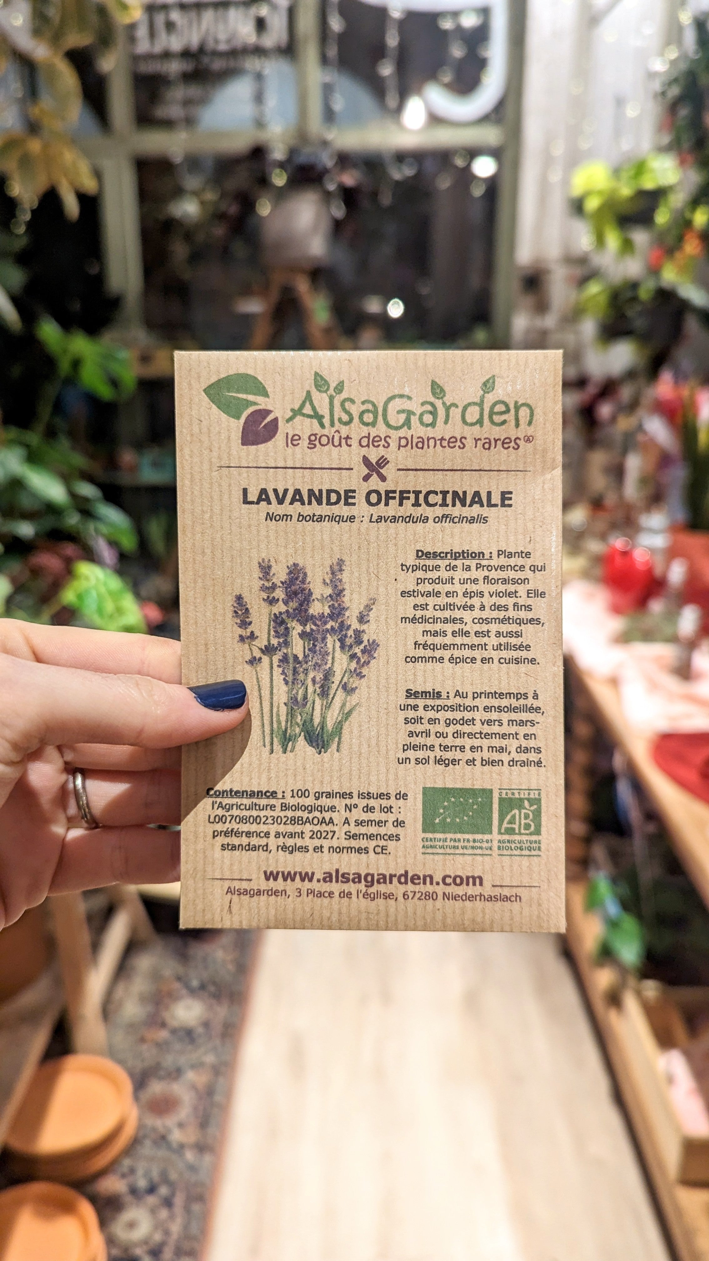 Lavender &#39;officinale&#39; organic seeds - Alsagarden seeds