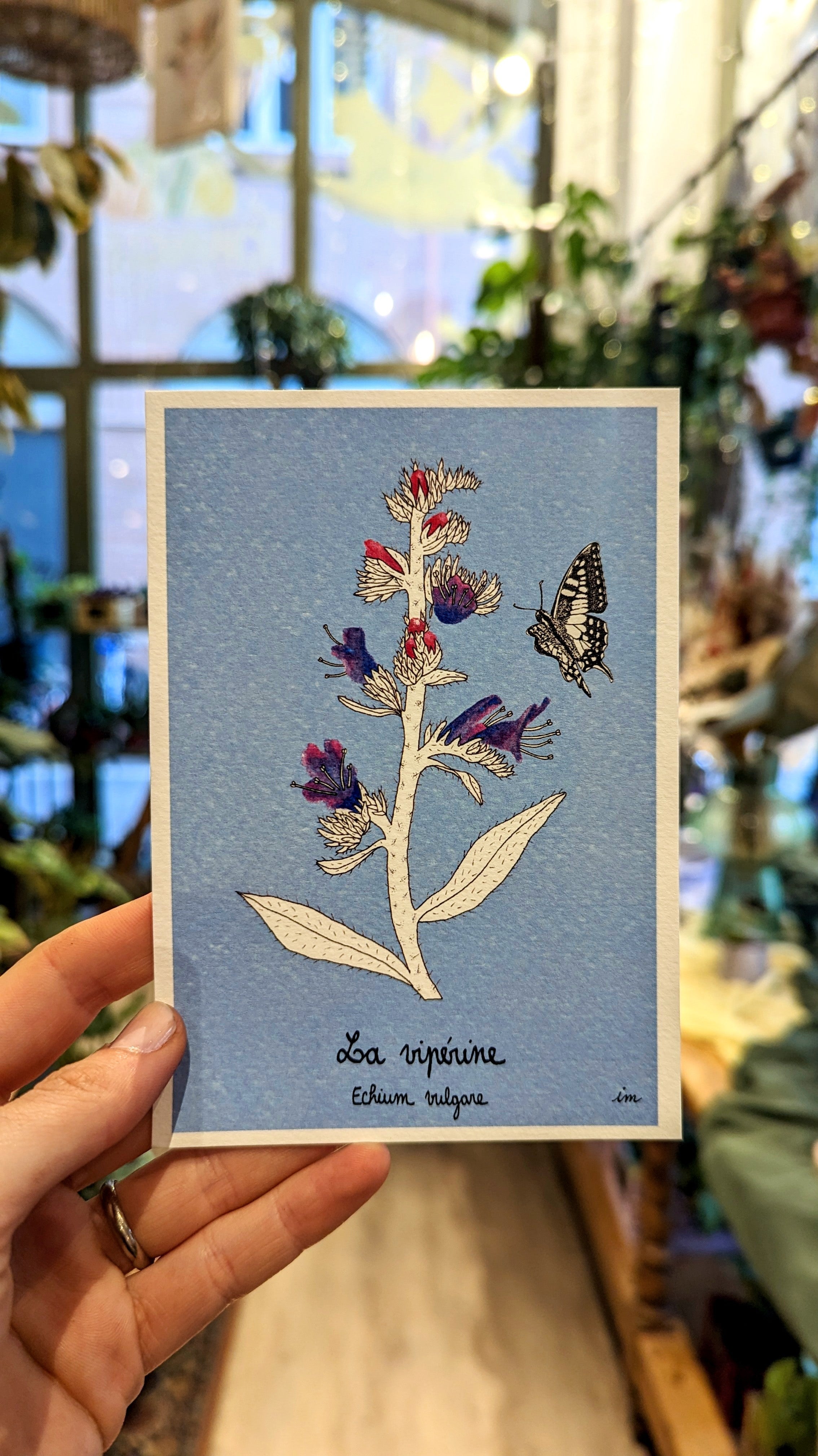 Isabel Mariscal | Cartes postales botaniques