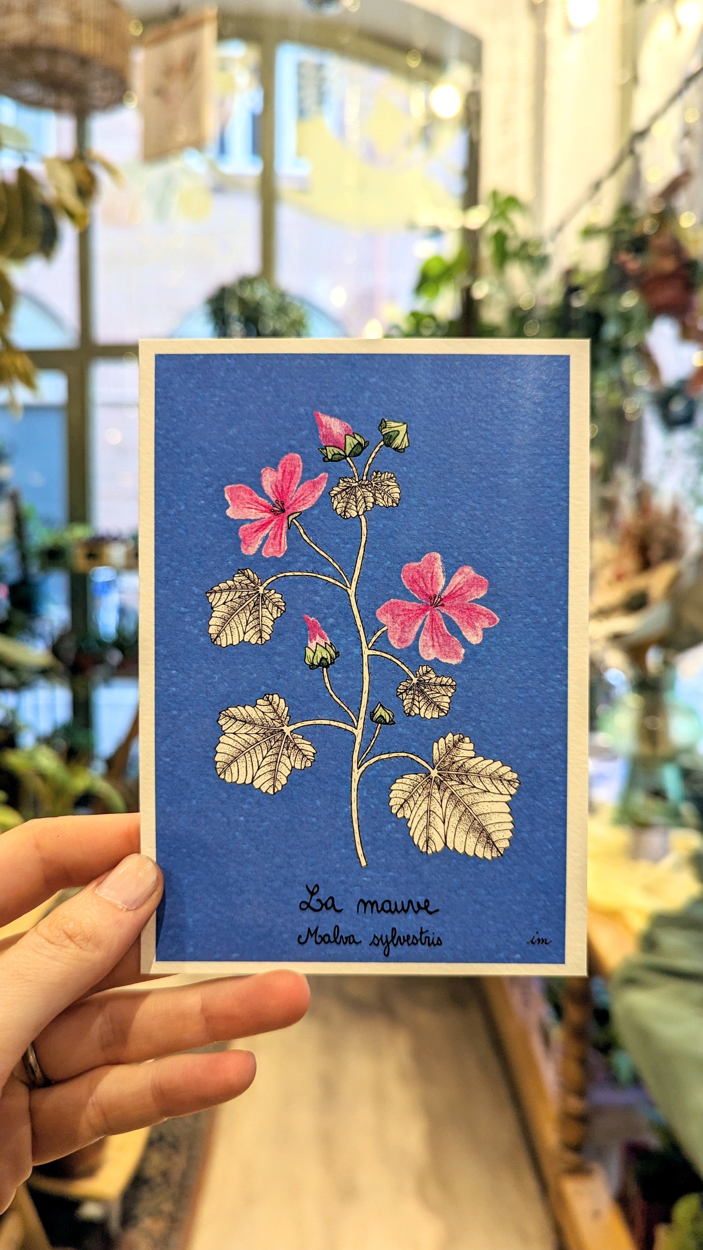 Isabel Mariscal | Cartes postales botaniques