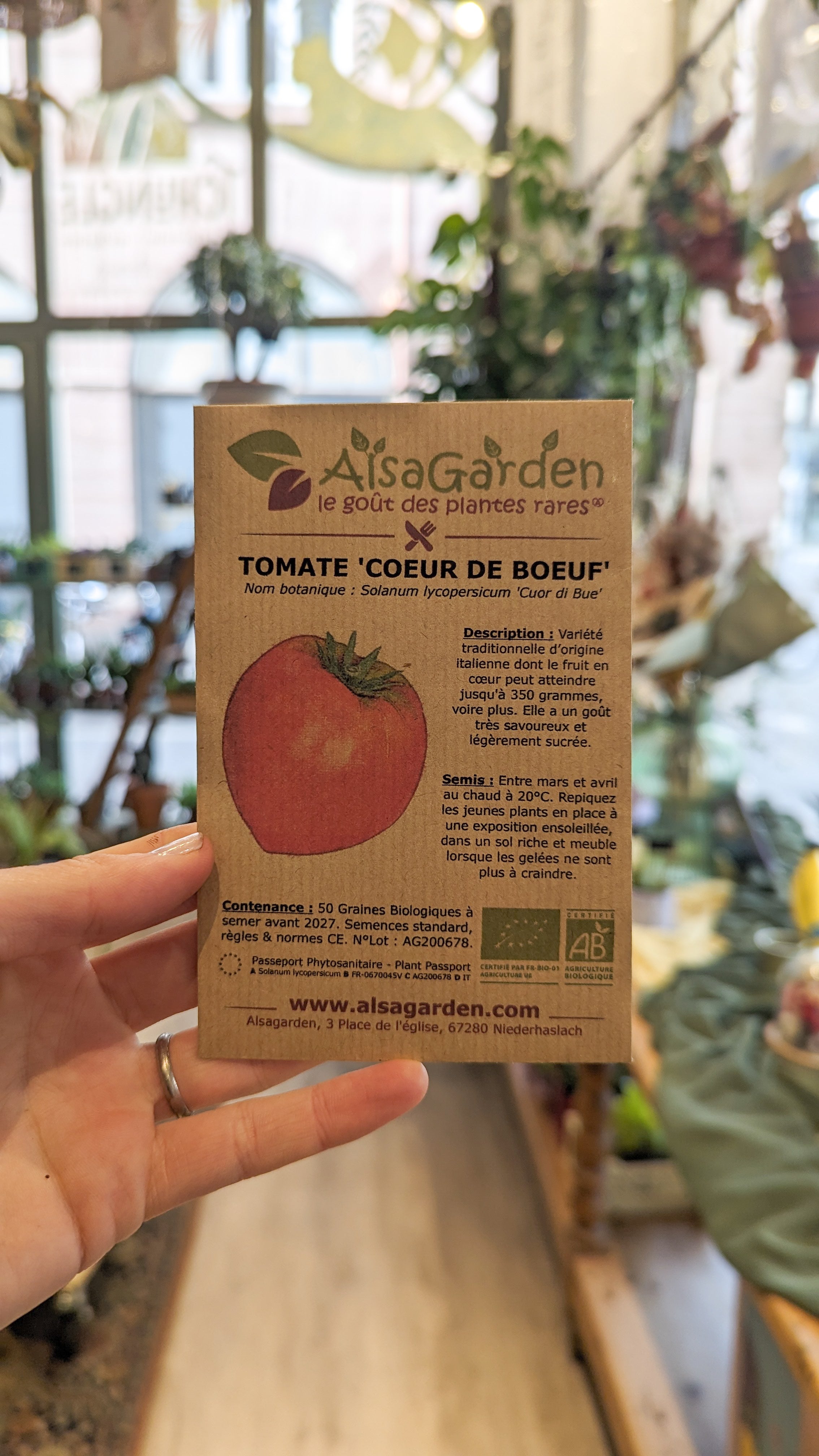 Tomato &#39;Coeur de boeuf Sweet heart&#39; organic seeds - Alsagarden seeds 