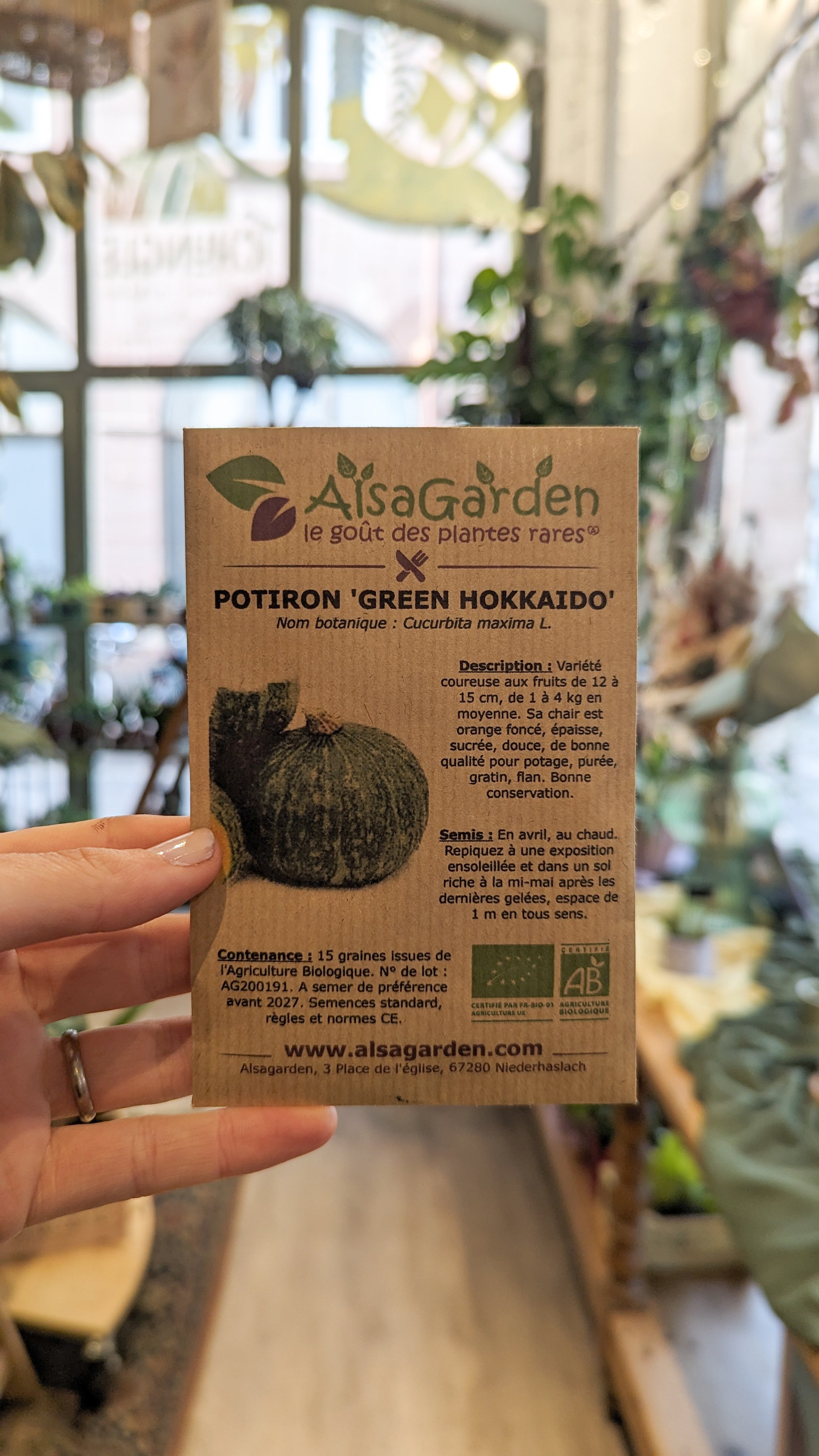 Potiron &#39;Green Hokkaido&#39; BIO | Semences Alsagarden