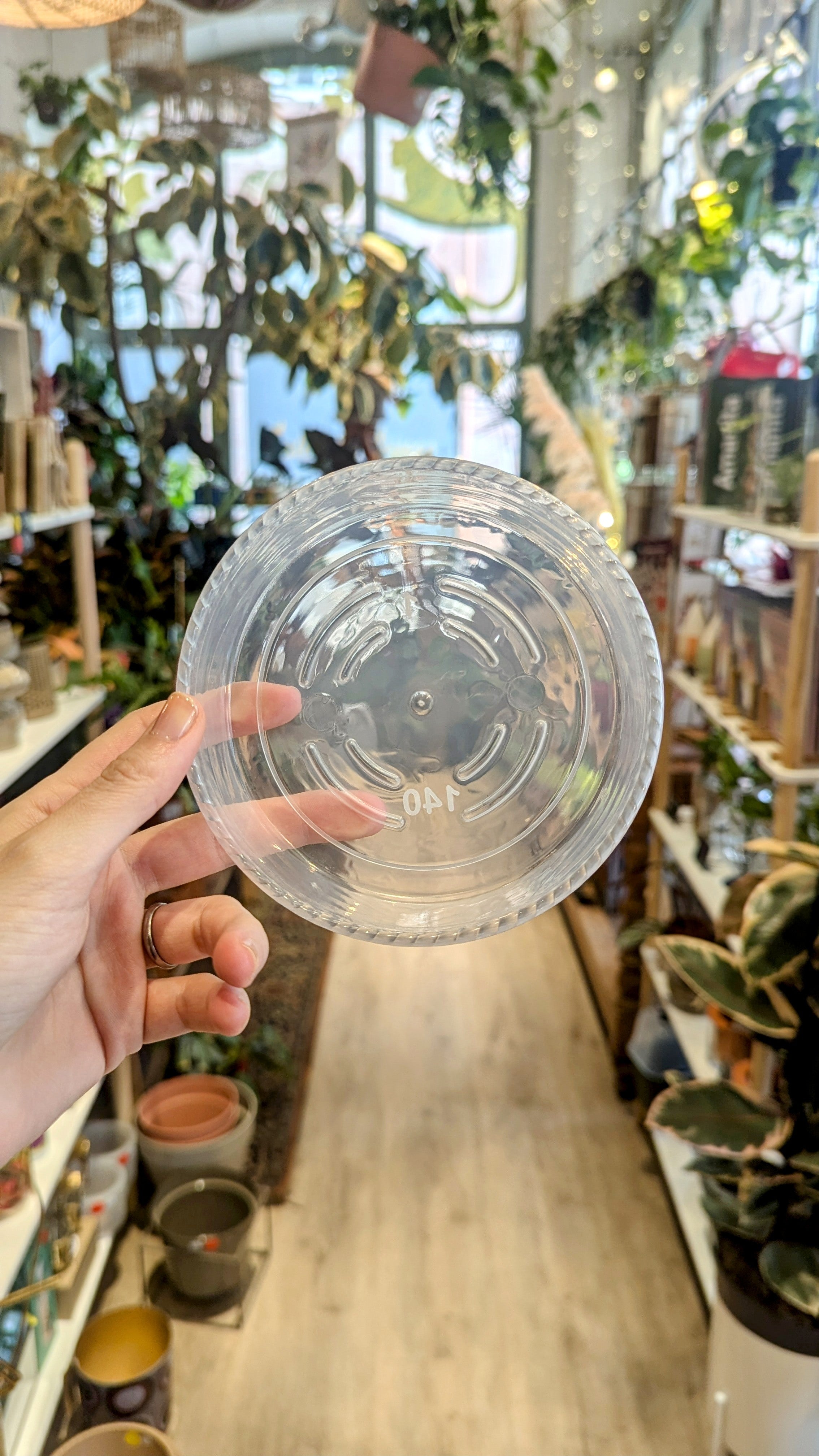 10 Soucoupes Transparentes Pour Pots De Fleurs 6 Pouces - Récupérateur D'Eau Pour Plantes D'Intérieur & Extérieur - 12