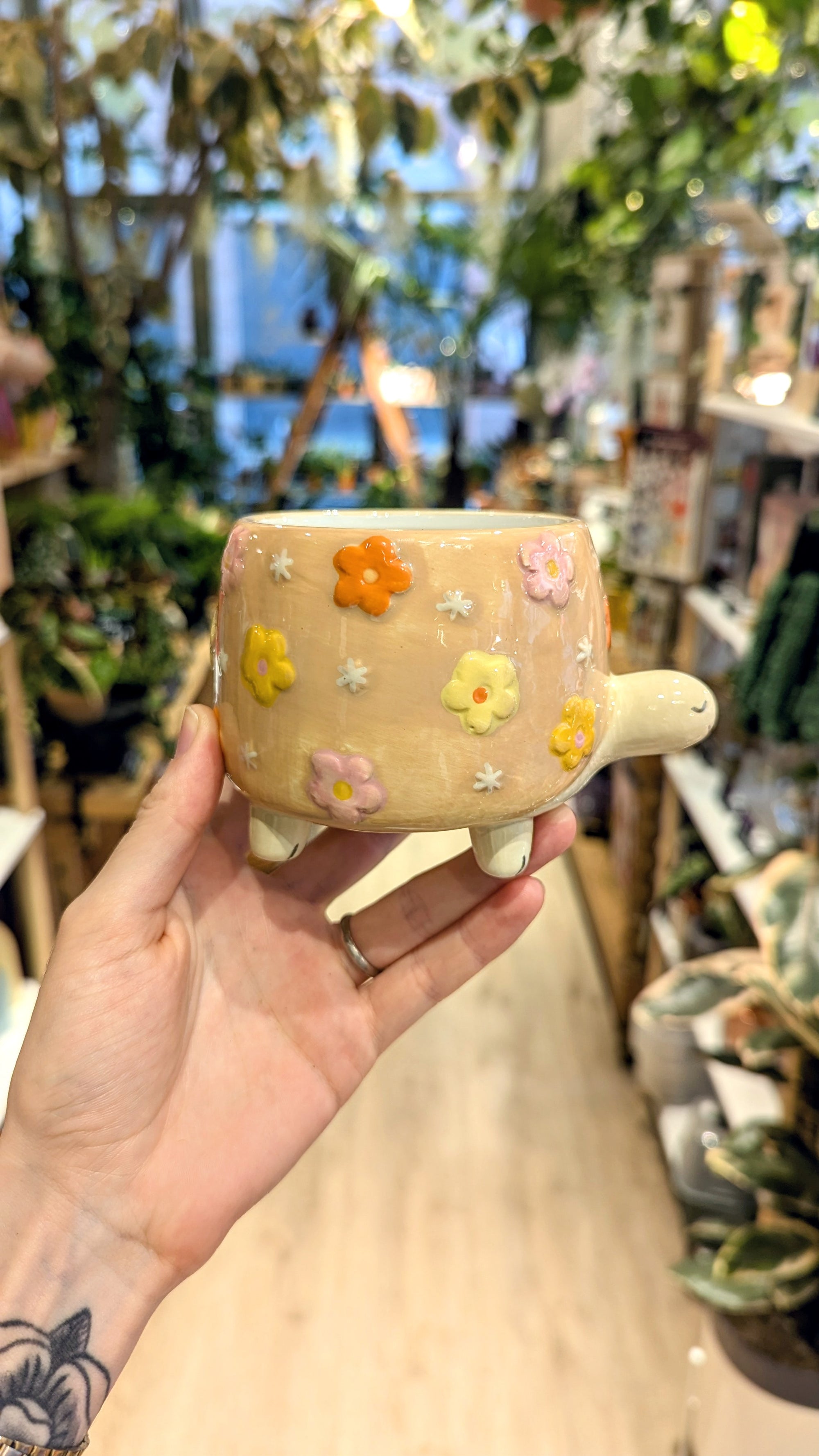 Oostfun Mignon tortue en forme de plante conteneur Pot de fleur succulente Pot de fleur Oostfun Mignon tortue en forme de plante conteneur Pot de fleur succulente Pot de fleur