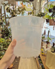 Pots orchidée transparents (Plusieurs options) | Florus