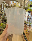 Pots orchidée transparents (Plusieurs options) | Florus