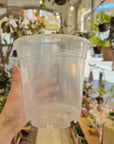 Pots orchidée transparents (Plusieurs options) | Florus