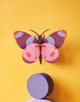 Studio ROOF | Bellissima Butterfly