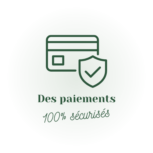 paiements en ligne sécurisés