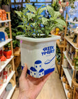 Vase Yogurt Greek | Fluid Market