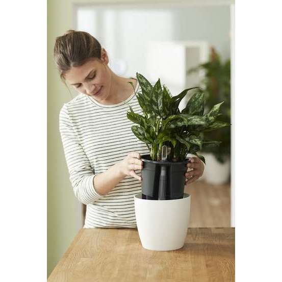 Elho | Self-watering insert (Réservoir d&#39;eau pour arrosage facile) (Plusieurs options)