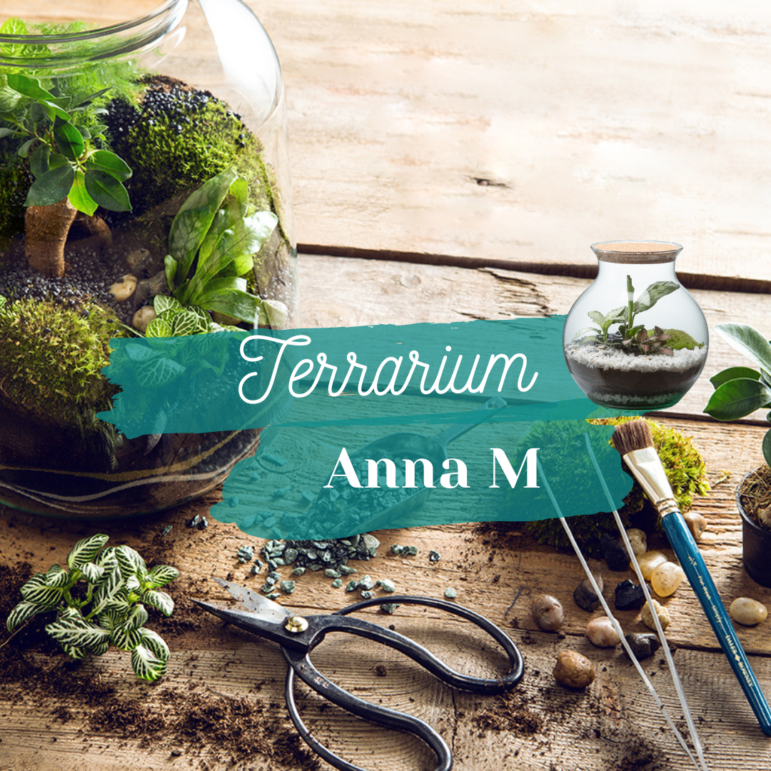 ☘️ Anna Terrarium Workshop - Size M ☘️