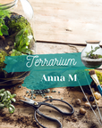 ☘️ Anna Terrarium Workshop - Size M ☘️