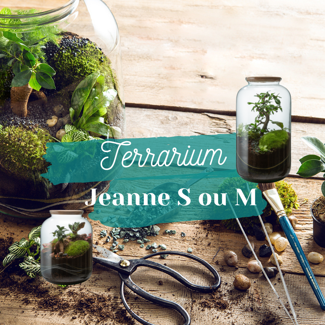 🌿 Atelier Terrarium Jeanne - Taille S ou M 🌿