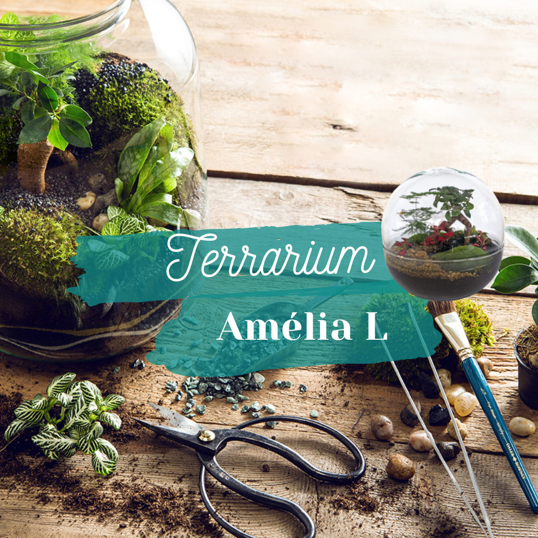 🌳 Atelier Terrarium Amélia ou Ferdinand - Taille L 🌳