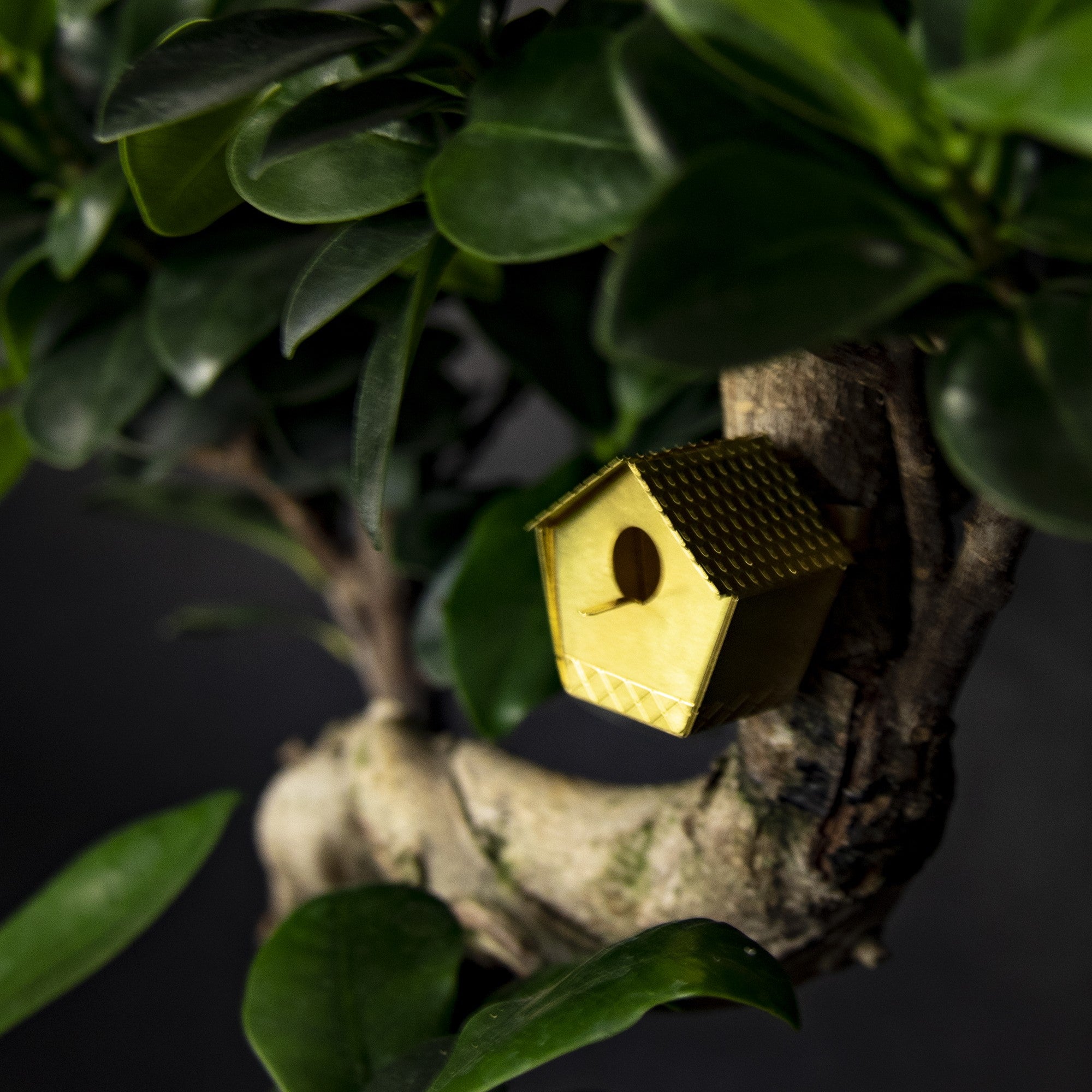Mini birdhouse for plants