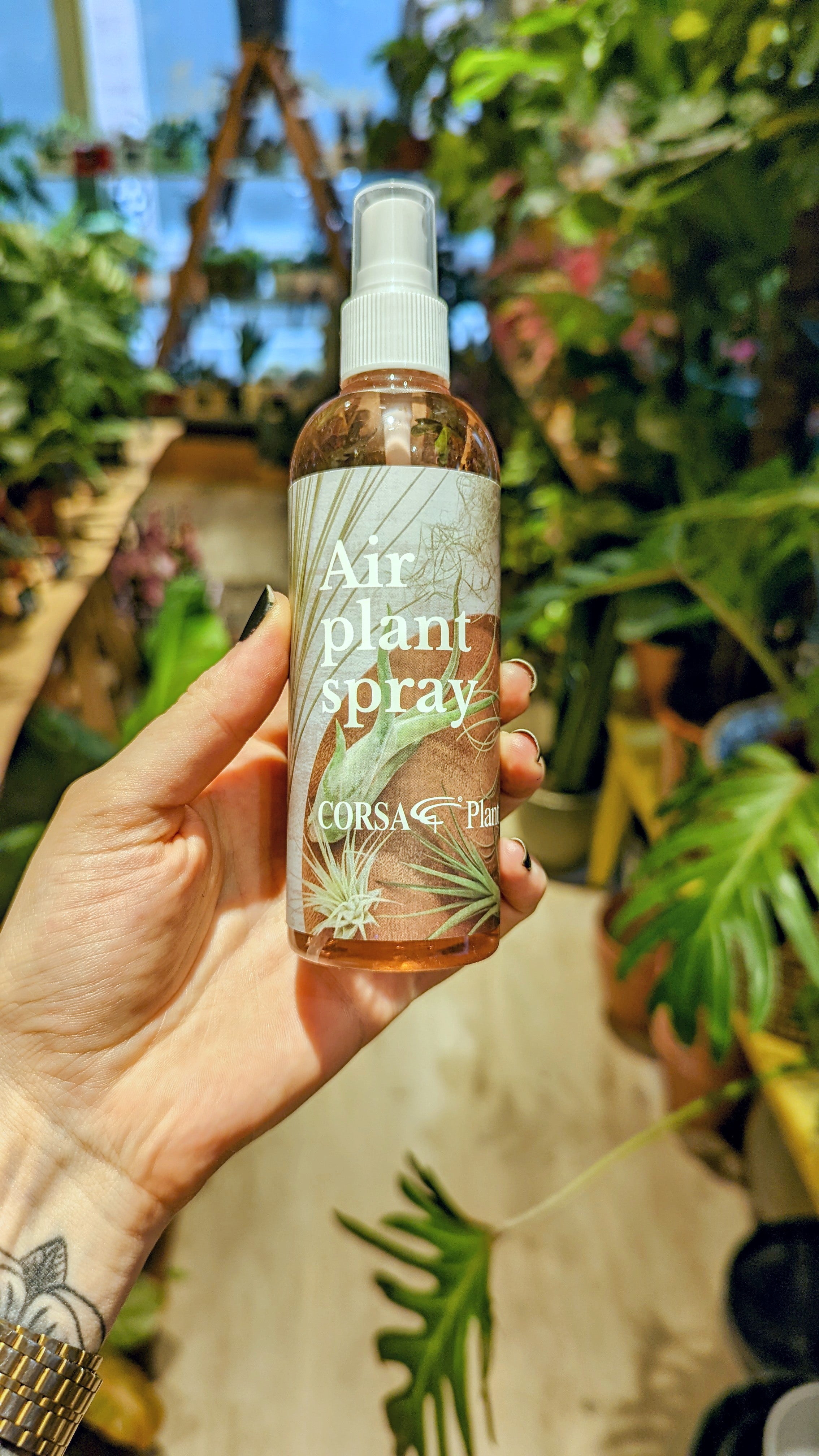 Tillandsia special spray