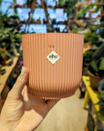 Elo | Pink Vibes flowerpot (Several options)