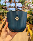 Elo | Blue Vibes flowerpot (Several options) 