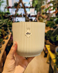 Elo | White Vibes flowerpot (Several options) 