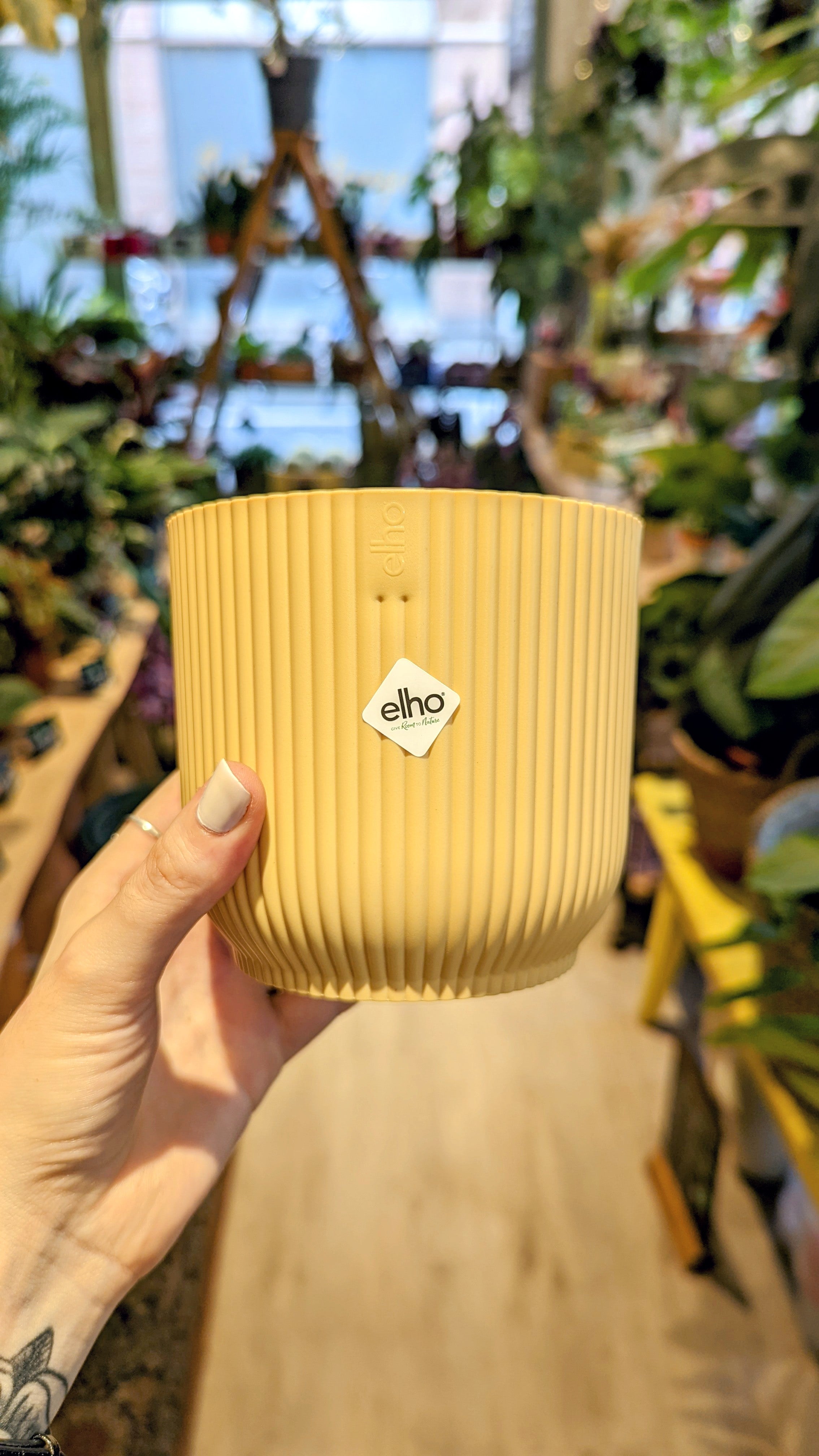 Elo | Yellow Vibes flowerpot (Several options) 