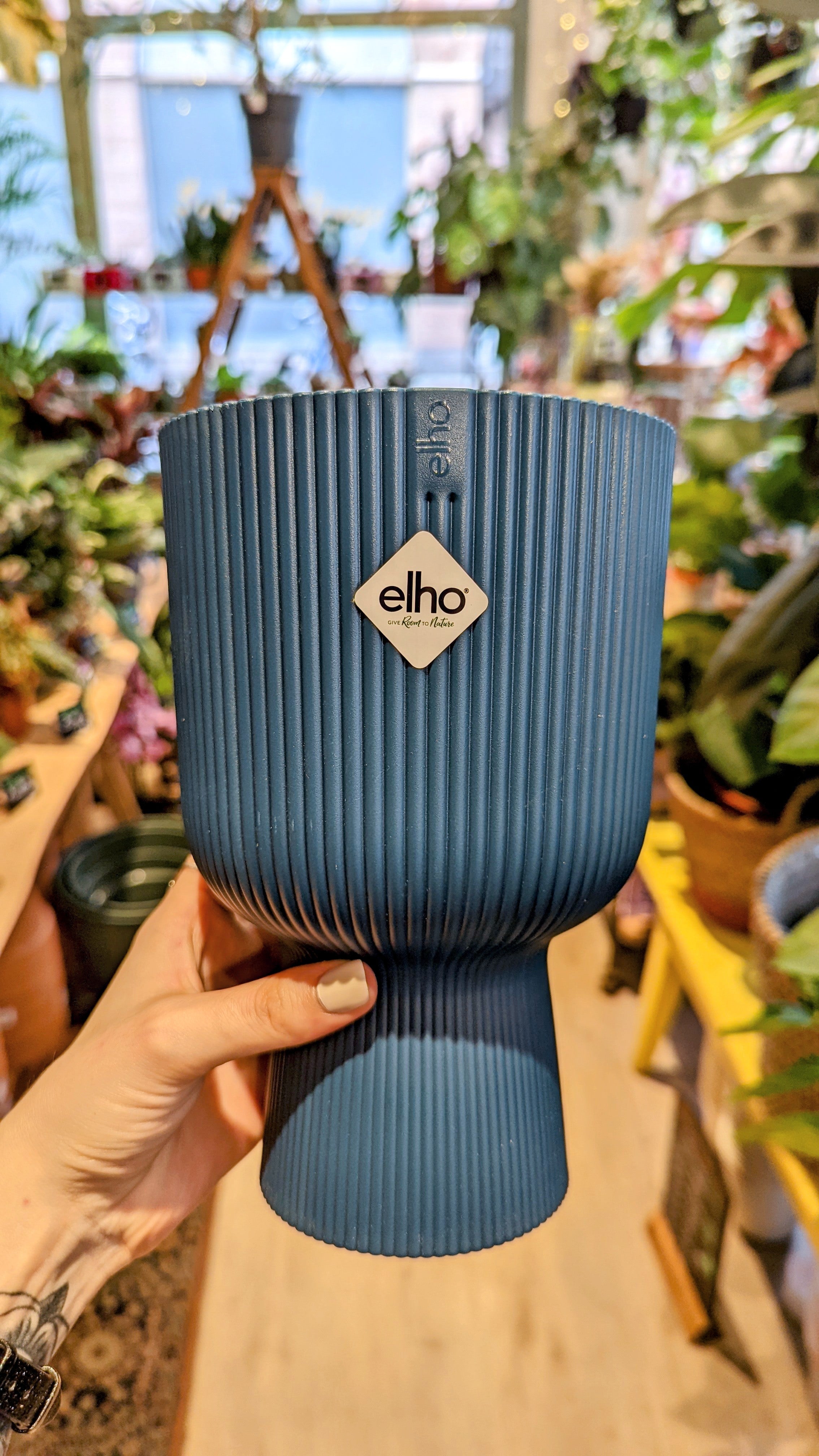 Elo | Coupe planter (Several options) 