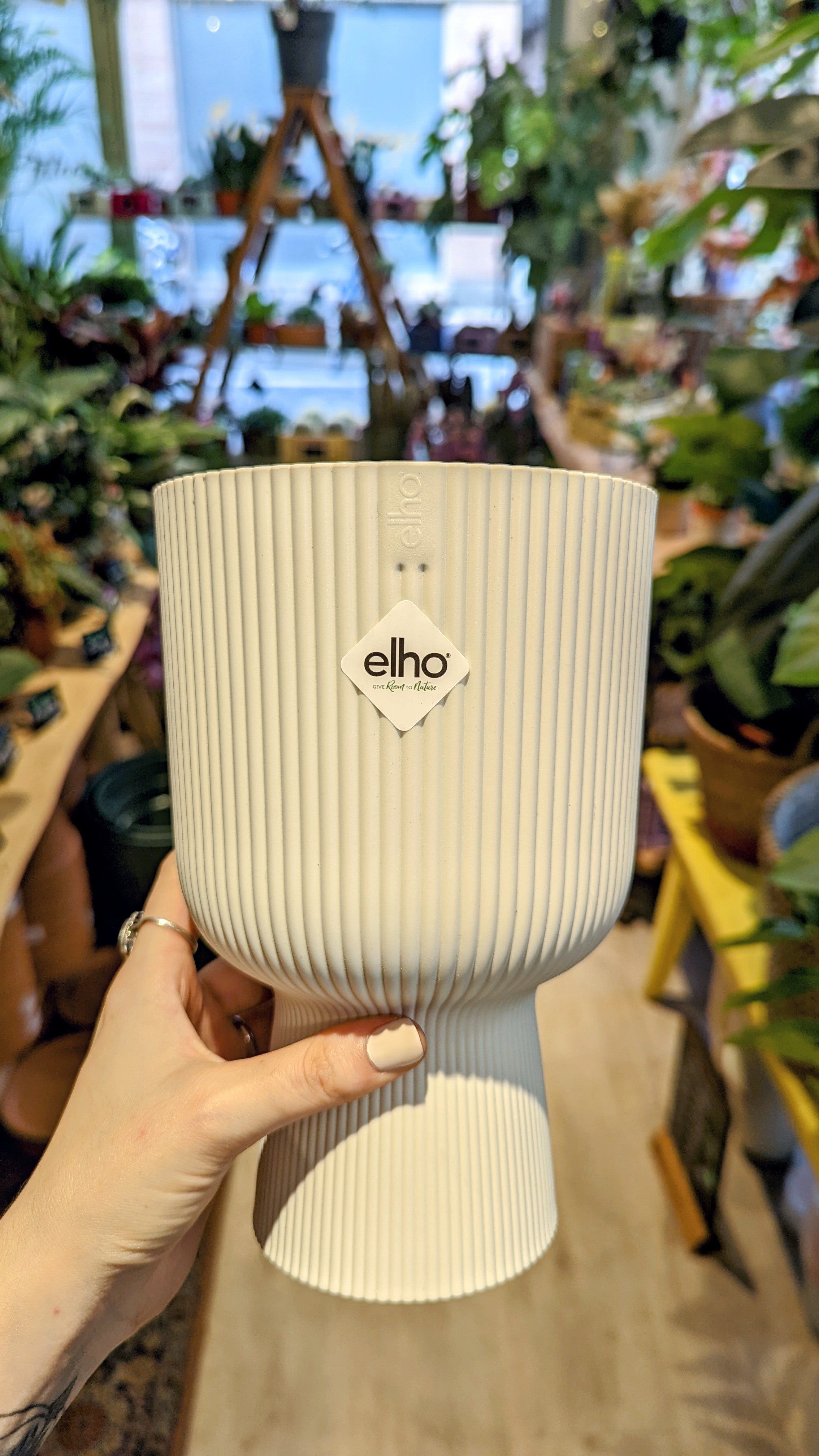 Elho | Coupe-Pflanzgefäß (mehrere Optionen)