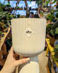 Elo | Coupe planter (Several options) 