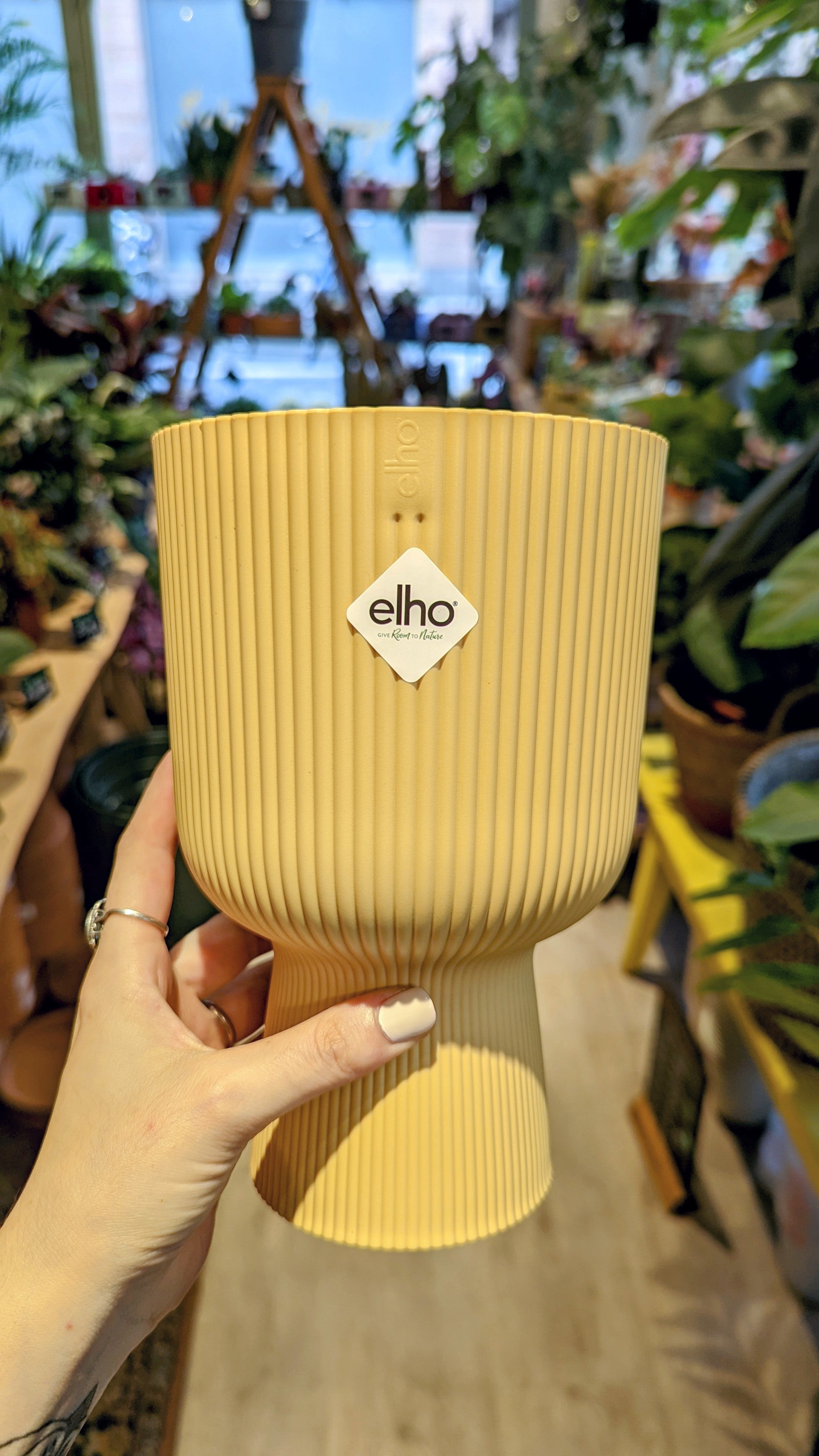 Elho | Coupe-Pflanzgefäß (mehrere Optionen)