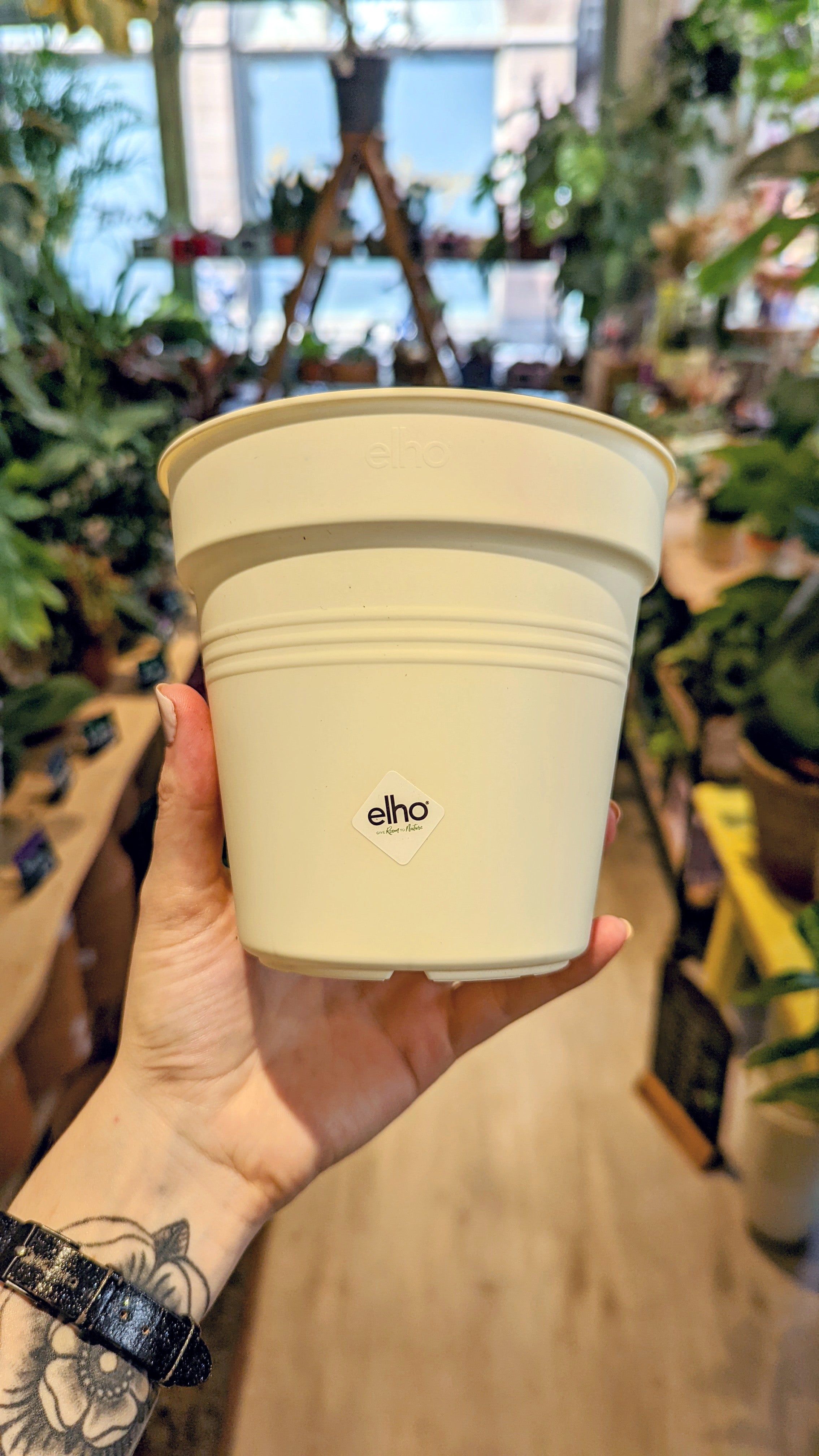 Elo | Cultivation pot (Several options)