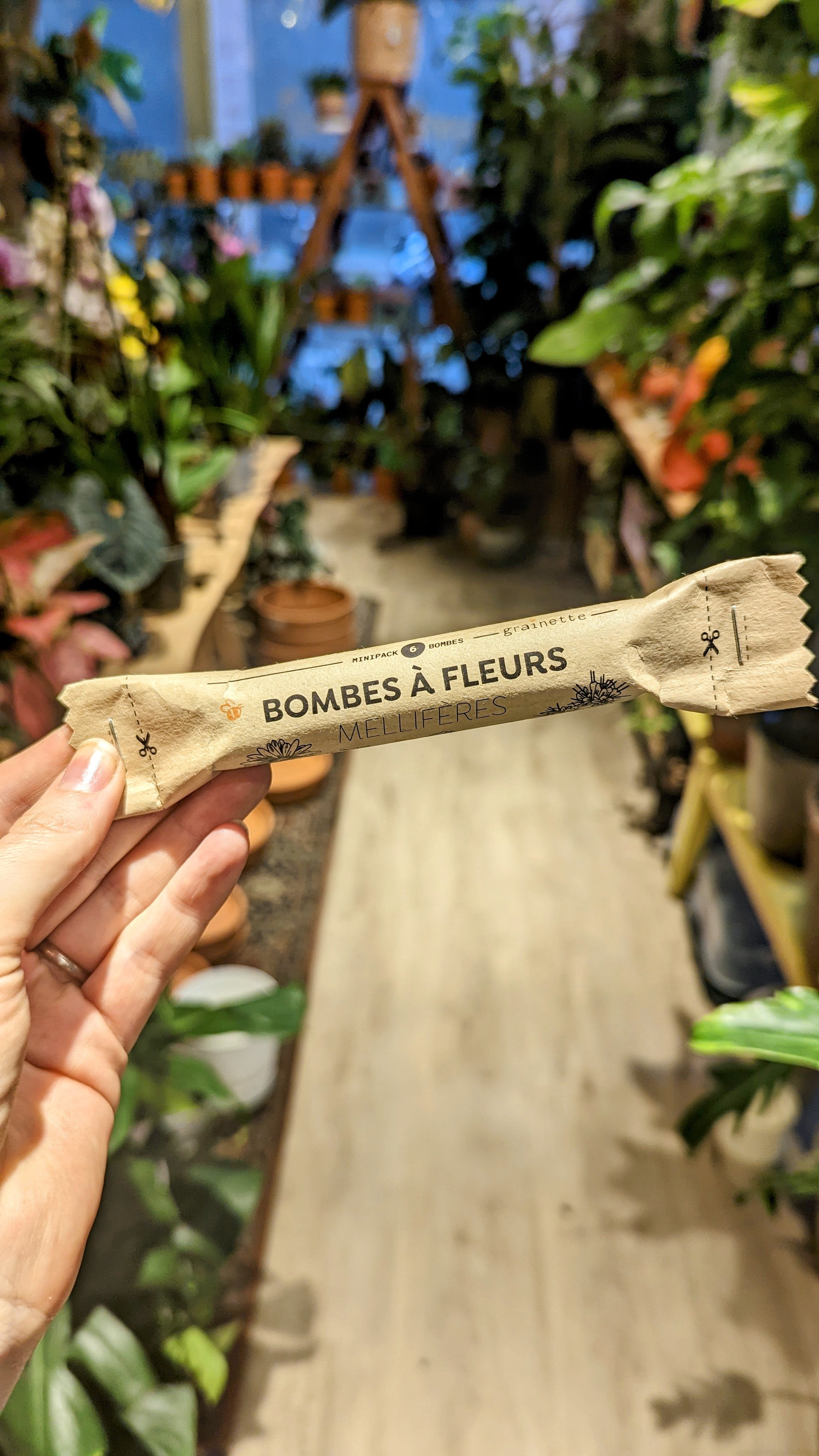 Flower bombs (wild bee plants) - Grainette