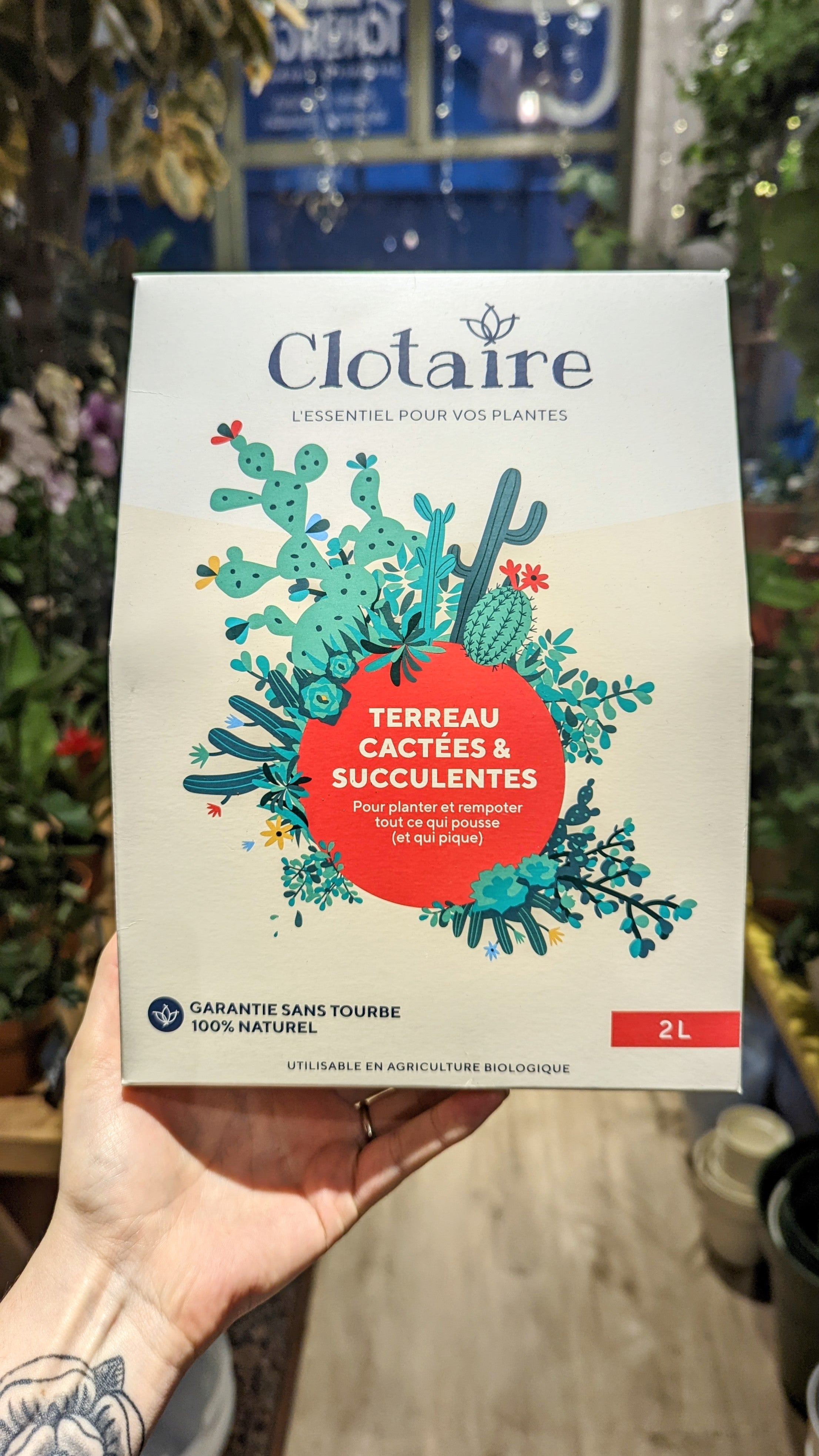 Terreau cactées &amp; succulentes - Clotaire