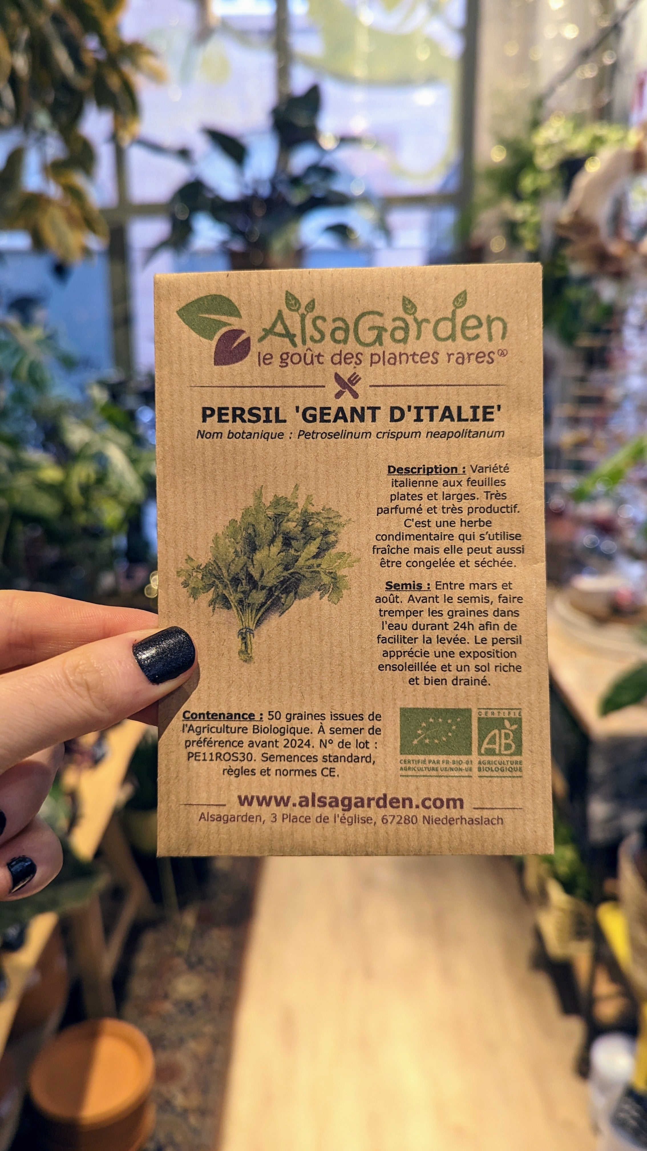 &#39;Italian giant&#39; flat-leaf parsley BIO | Alsagarden seeds