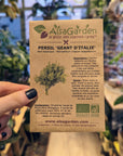 'Italian giant' flat-leaf parsley BIO | Alsagarden seeds