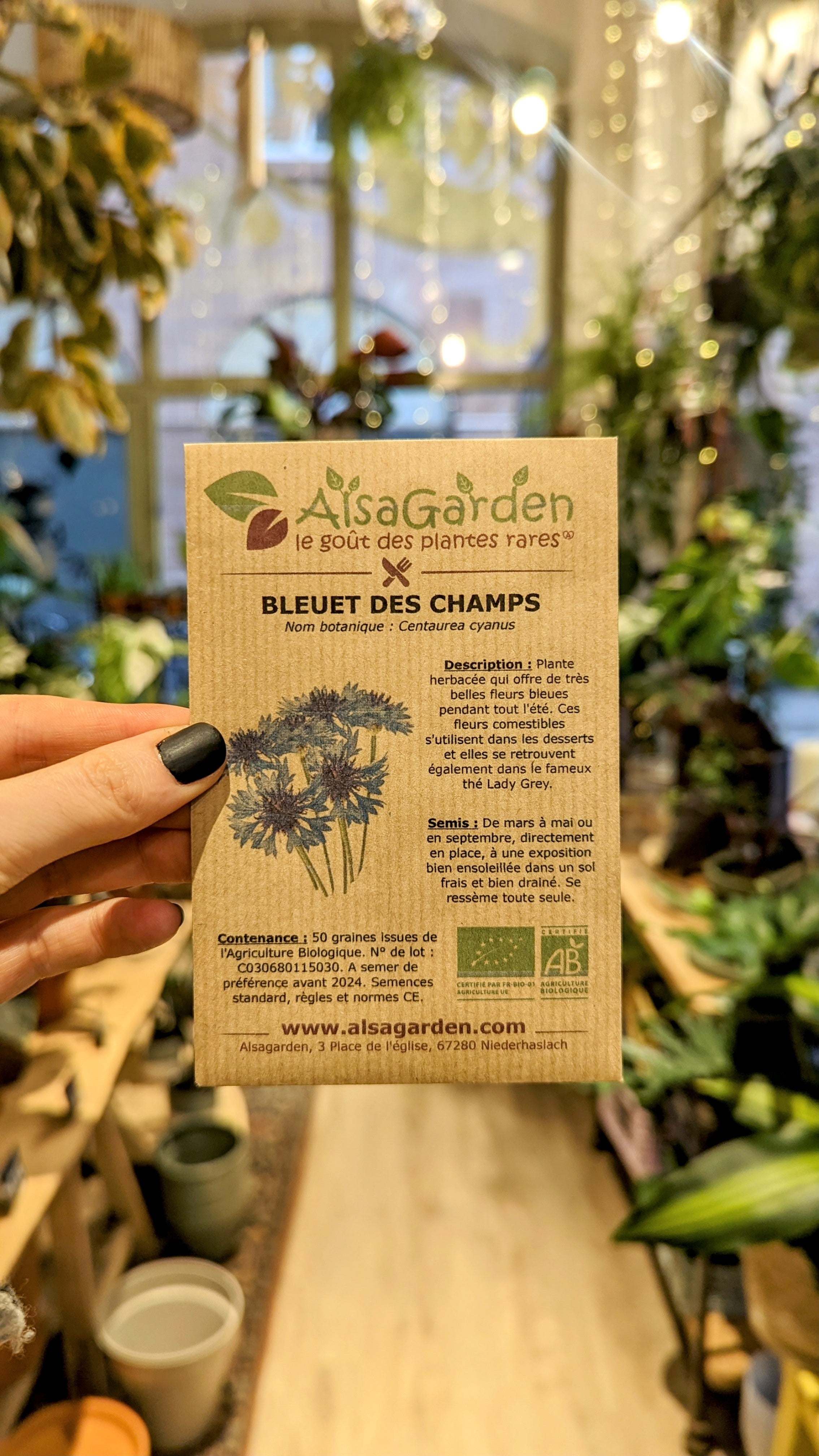 Wilde Blaubeeren Bio-Samen | Alsagarden-Samen