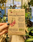 Onion 'Rossa lunga di firenze' ORGANIC | Alsagarden seeds