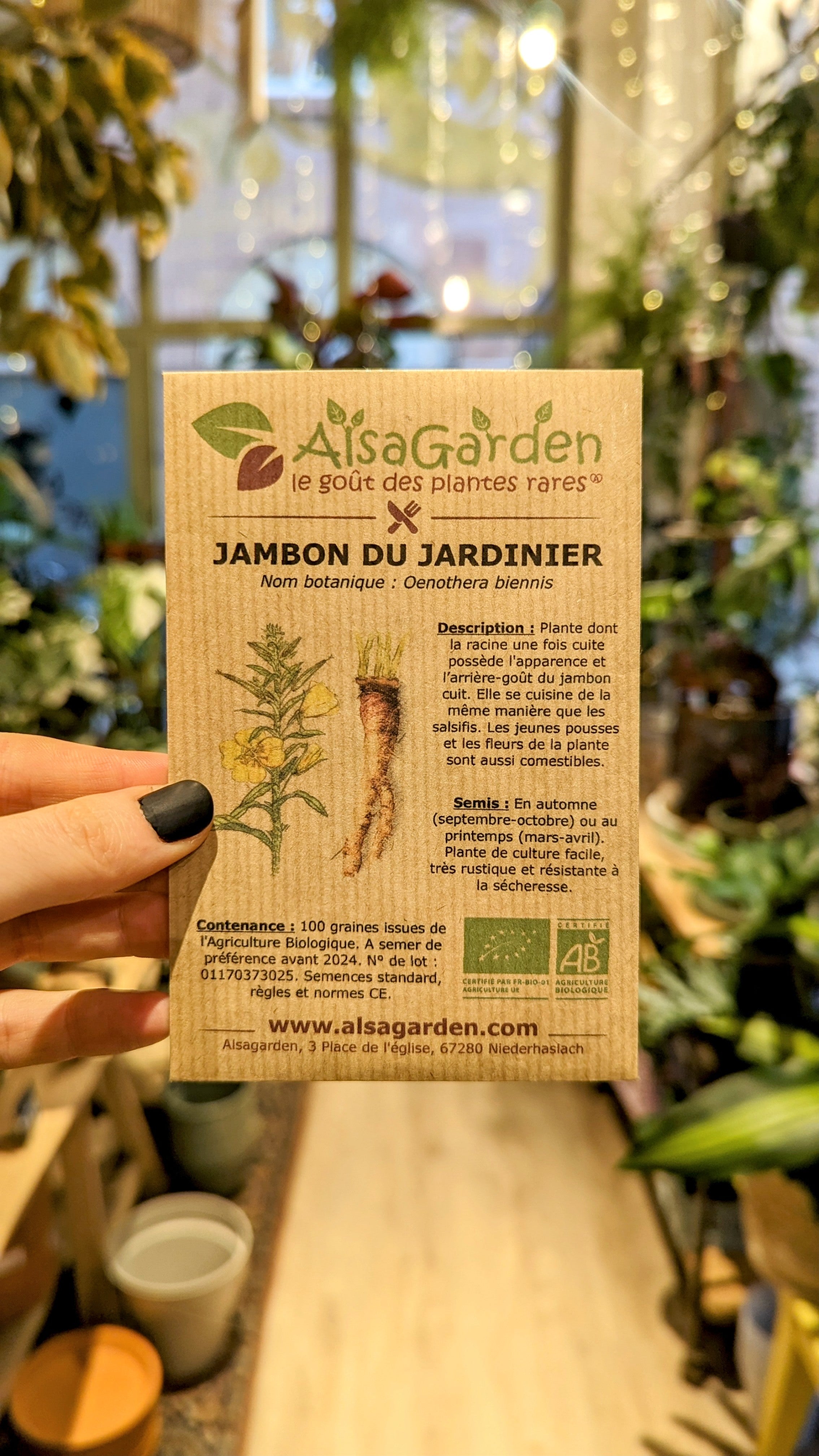 Jambon du  jardinier BIO | Semences Alsagarden