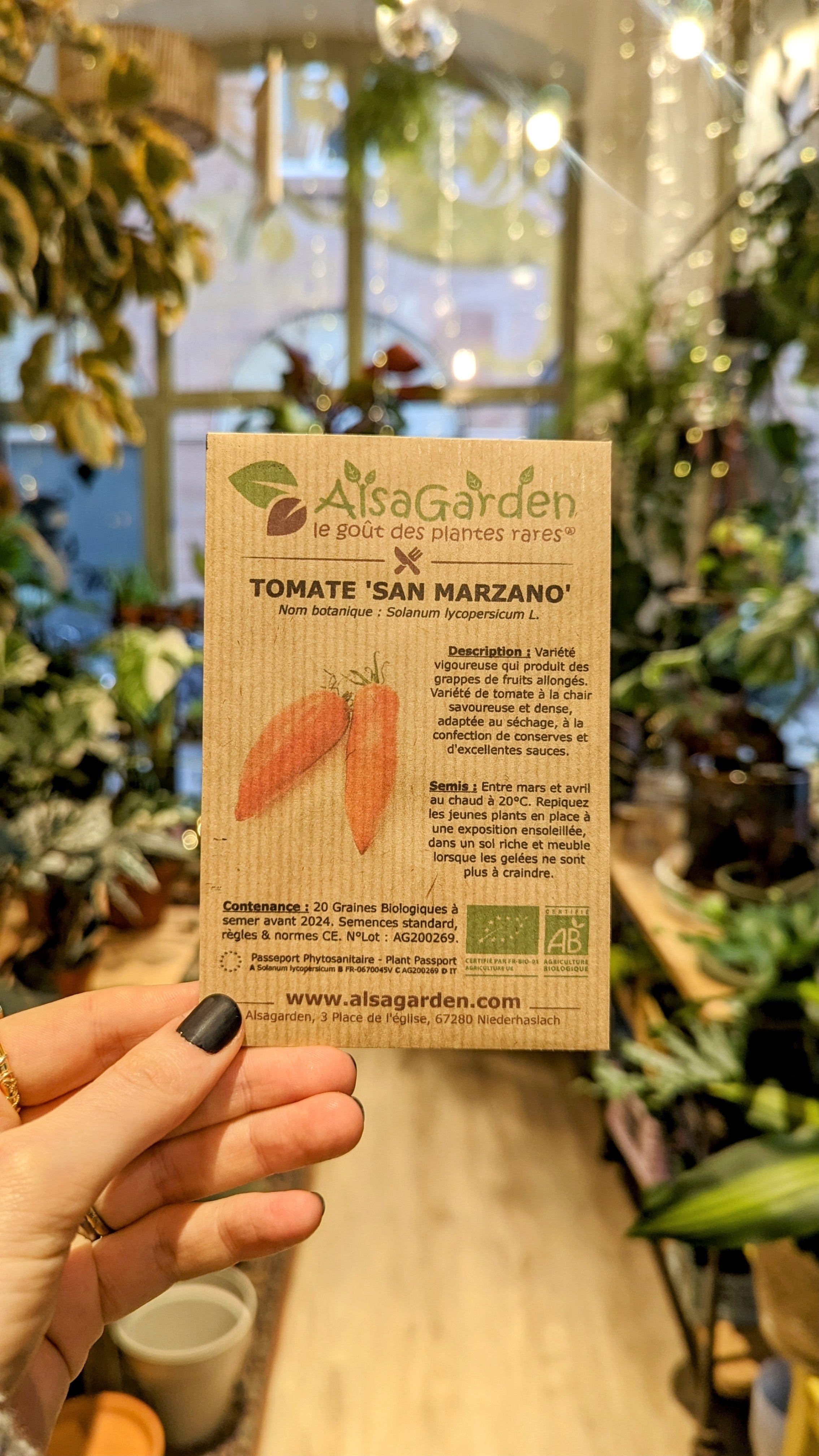 Tomate San Marzano BIO | Semences Alsagarden