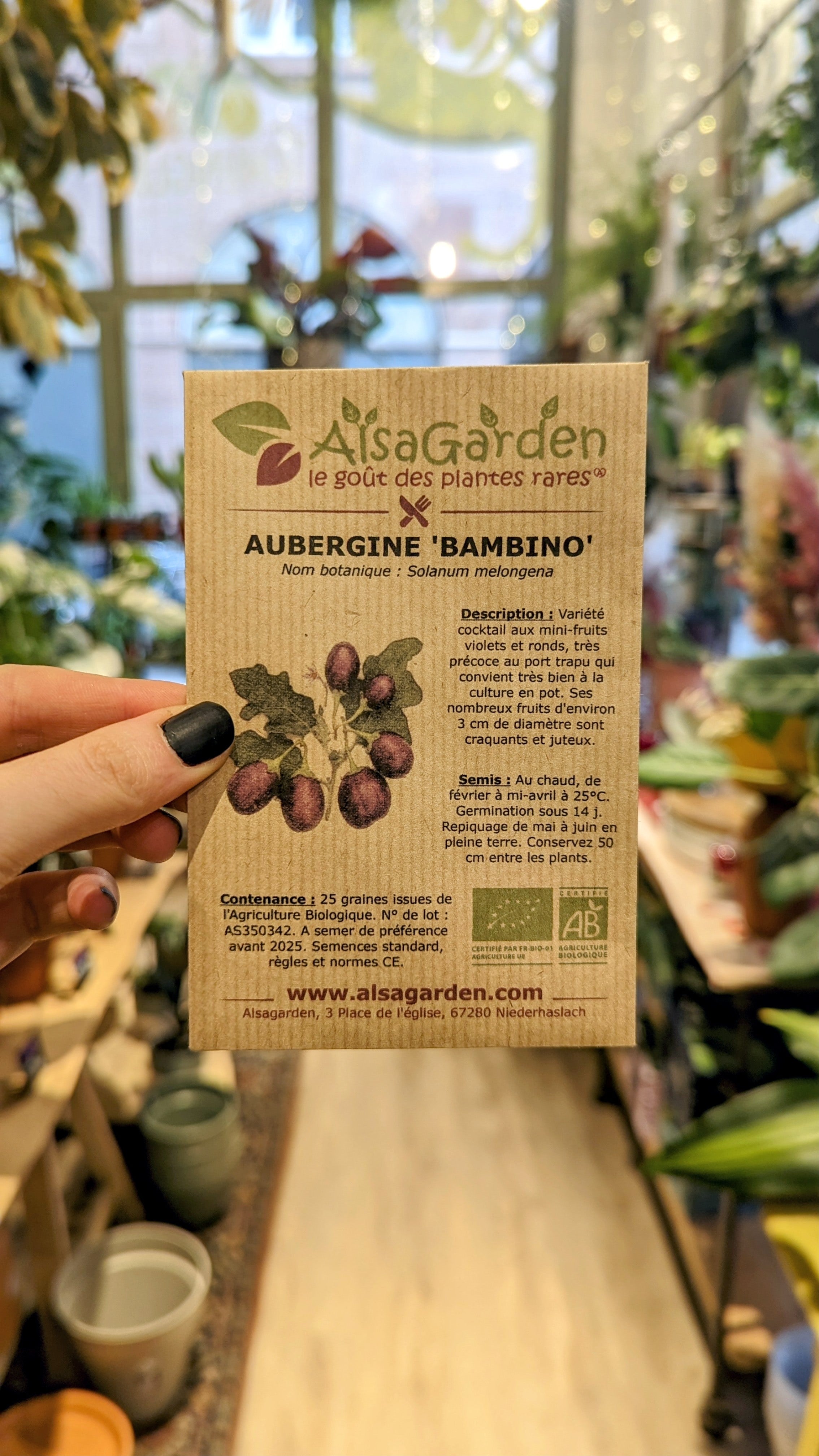 Eggplant &quot;Bambino&quot; ORGANIC | Alsagarden seeds