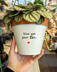 Joli Pot | Cache-pot terre-cuite peint