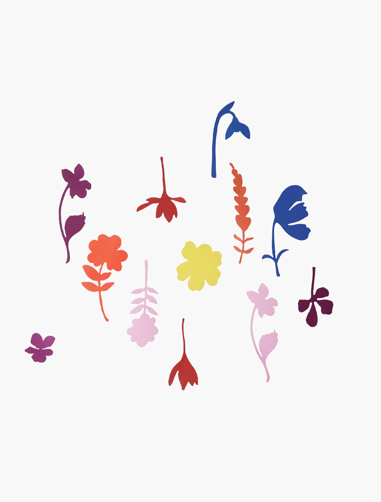 Studiodach | Die Welt der Wildblumen (Feldblumen)