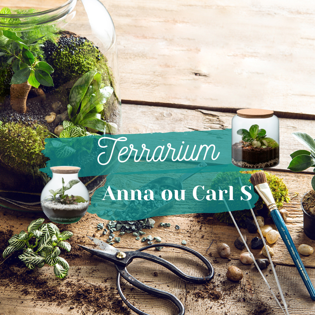 🍃 Carl or Anna Terrarium Workshop - Size S 🍃