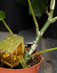 Botanopia | Décoration de plantes - Mini cabane pour plantes !