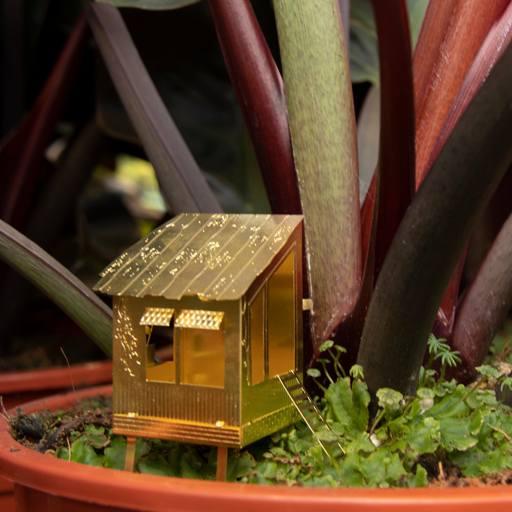 Mini plant hut!