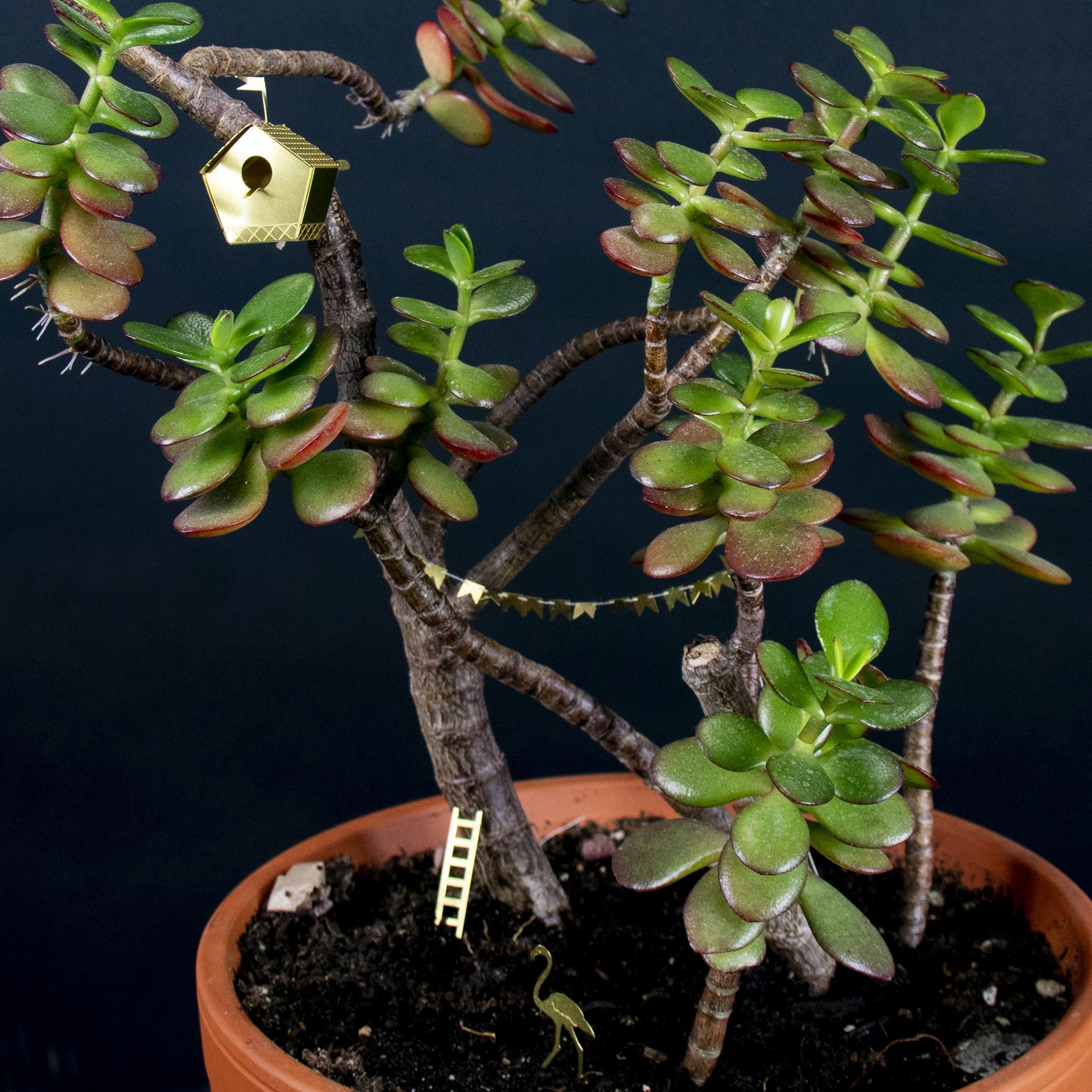 Mini birdhouse for plants