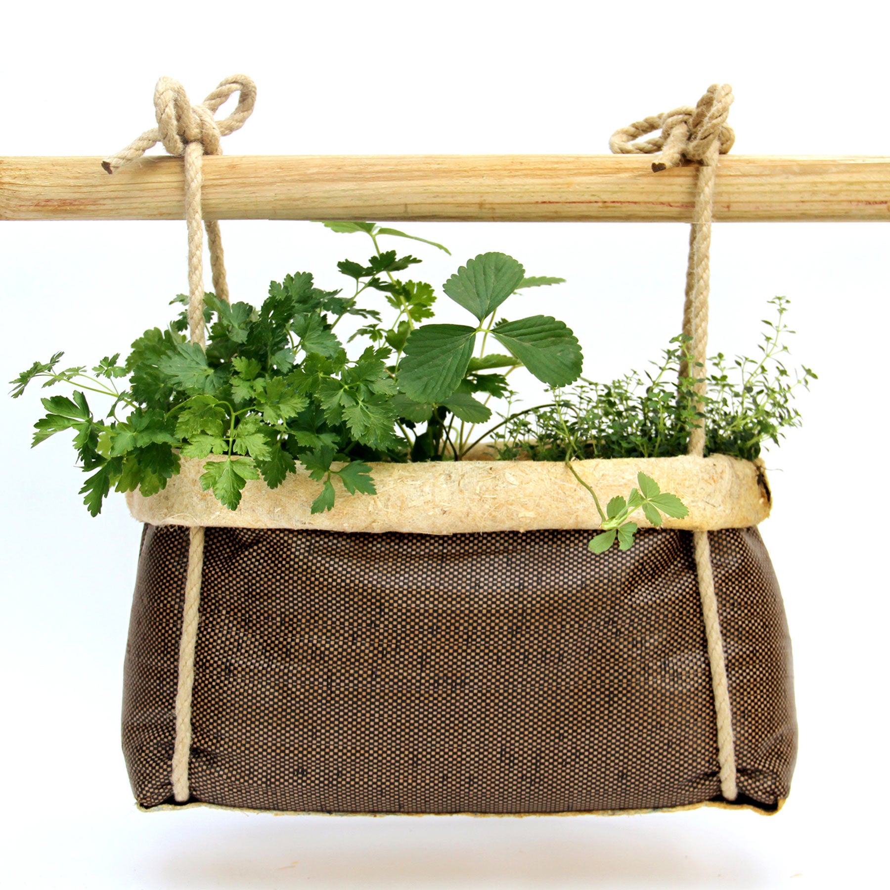 Epiphyle | Natural planter and its complete kit