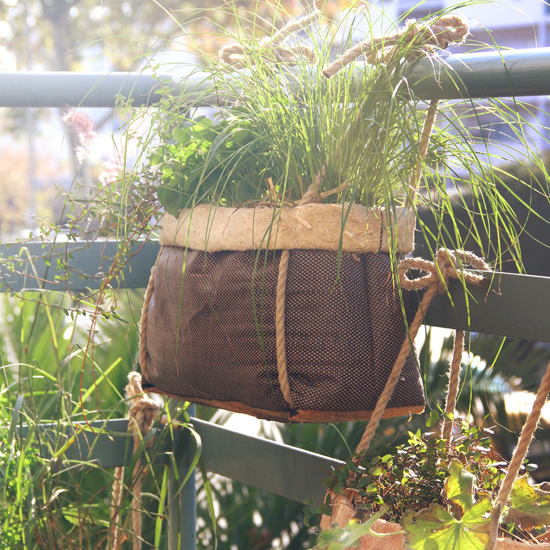 Epiphyle | Natural planter and its complete kit